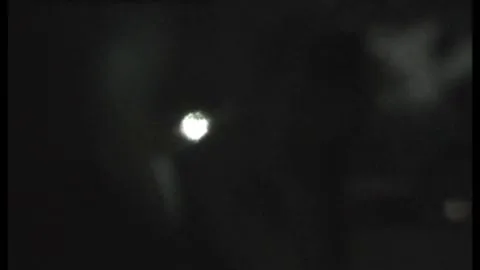 FU10 – Night Crawling 262