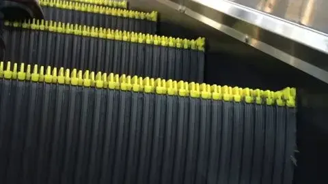 Asian Girls in Public Transportation