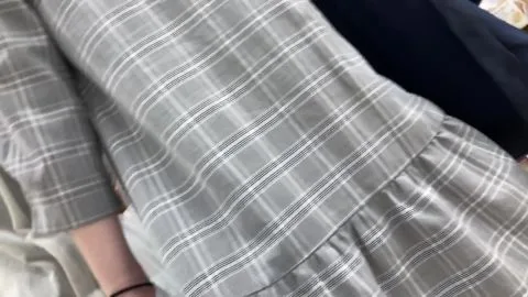 Asian Girl in Gray Plaid Shirt