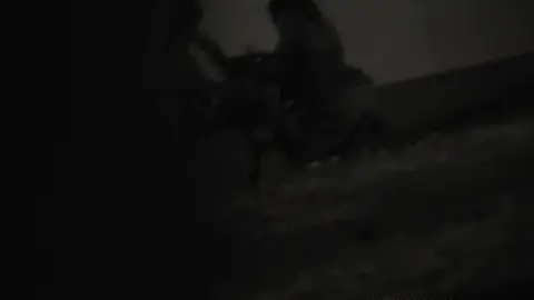 Dark-Haired Couple’s Outdoor Intimacy