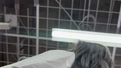 Asian Teen with Short Black Hair in Solo Scene