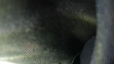 Blonde Teen Undresses in Bedroom