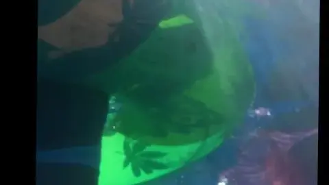 Underwater Intimacy in Red and Blue Swimsuits