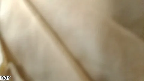 Asian Man Masturbating Indoors