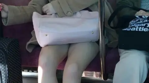 Asian Woman on Train