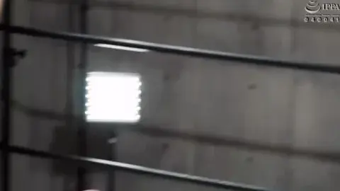 Asian Lesbians Boxing Ring Encounter