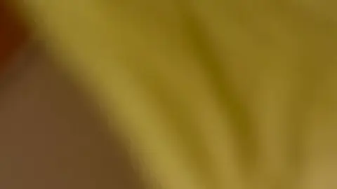 Asian Teen in Yellow Dress Undresses