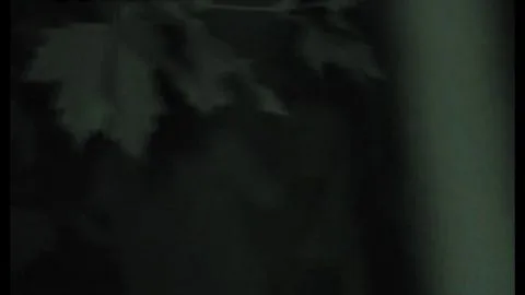 FU10 – Night Crawling 266