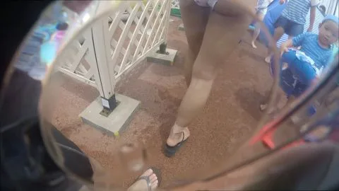 Beach Babes in Swimwear