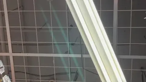 Asian Girls Shopping in Store