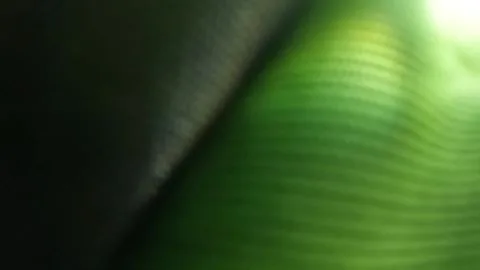 Blonde and Dark Haired Lovers in Intimate Bedroom Encounter