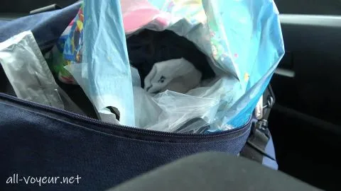 Indoor Vehicle Encounter