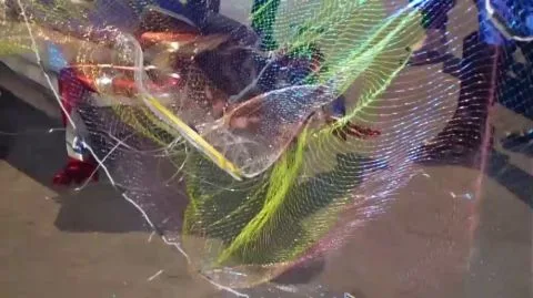 Asian Women in Costumes Engage in Bondage and Restraint