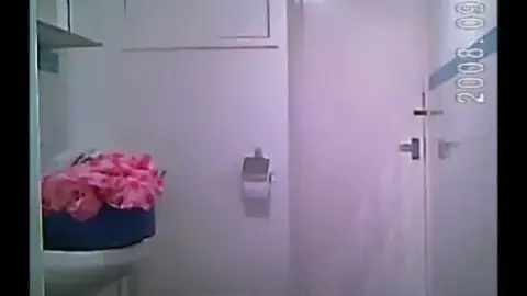 Desi Bathing Babe Fucked