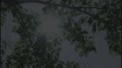 Asian Cosplay Outdoors