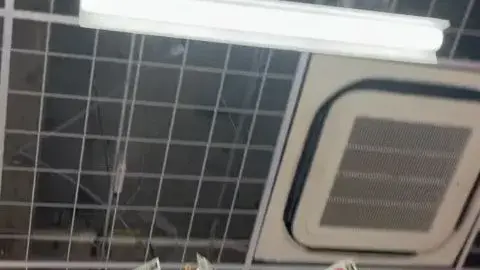 Asian Beauty in Store