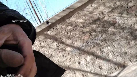 Outdoor Masturbation and Group Scenes