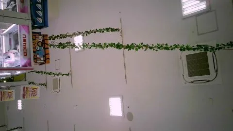 Asian Girls in Erotic Poses at Arcade