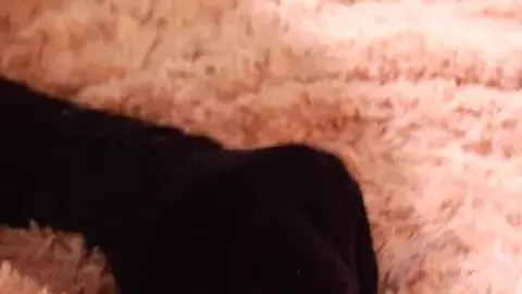 Asian Lesbians Intimate Moments in Bedroom