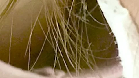 Asian Women Intimacy in Masks