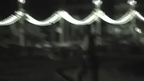 Outdoor Nighttime Encounter Turns Intimate