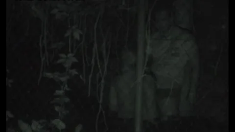 FU10 – Night Crawling 277