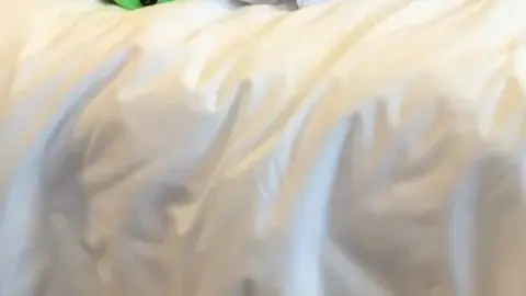 Asian Teen in White Lingerie on Bed