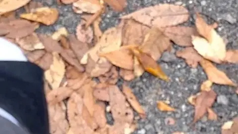 Asian Girl Outdoor and Indoor Encounter