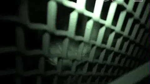 Blonde Bombshell Masturbates in Bed Cage