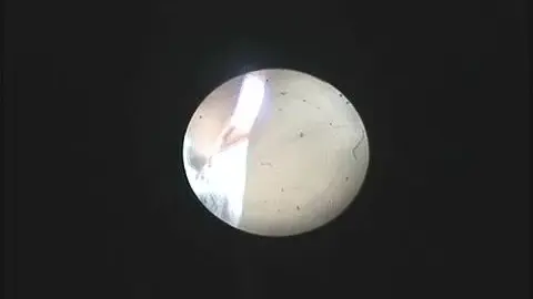 Intimate Medical Examination