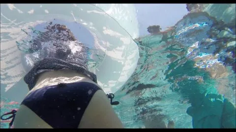 Girls Swimming Underwater in Swimsuits