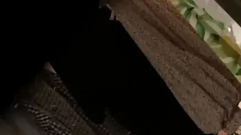 Asian Teen Sitting in Bedroom