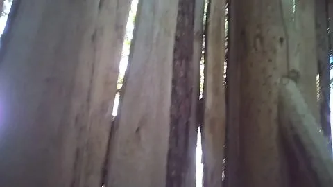 Festival Showers 6 – Lesbian Outdoor Fuck