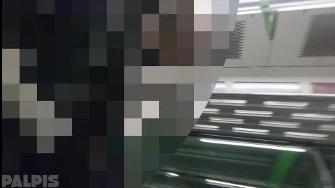 Asian Girl Exposes Herself on Train