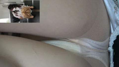 Asian Girl on Train Exposes Herself