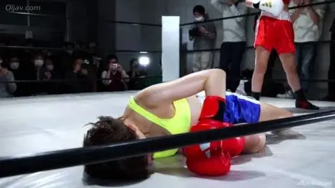 Asian Boxer Knockout Sex