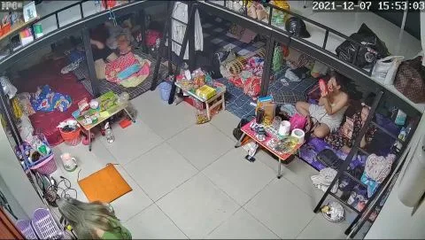 7 Young Sisters in The Dormitory Lesbian Fuck