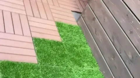 Outdoor Sexy Moments Caught on Camera