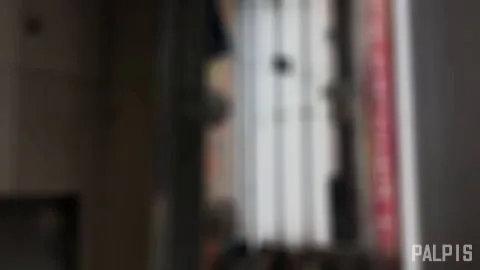 Asian Girls in Store Encounter