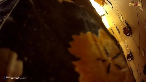 Asian Girls Undressing in Locker Room