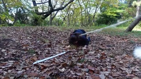 Asian Cosplay Girls in Superhero Costumes