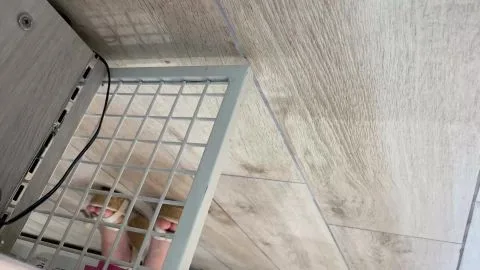 Asian Lesbians Intimate Moments