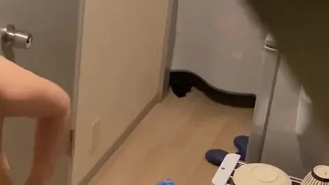 Asian Lovers in Steamy Bathroom Encounter