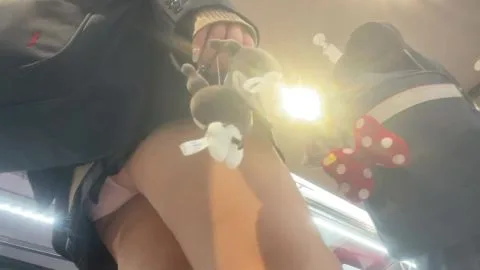 Plaid Skirt Tease on Public Transport