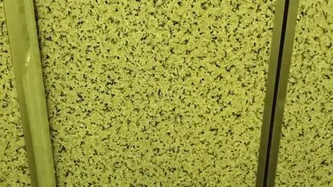 Slim Caucasian Babe in Bedroom