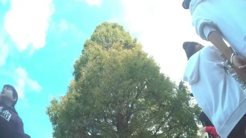 Asian Girls Outdoor Encounter