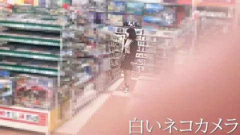 Asian Couple in Store