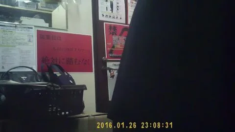 Palpis Kigae Part 20 – Asian Office POV