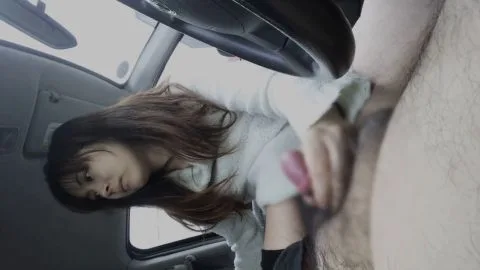 POV Car Sex with Brunette