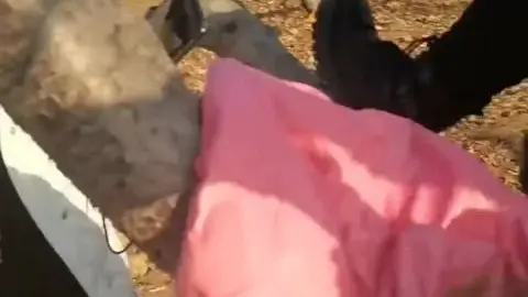 Asian Couple Intimate Moments in Nature